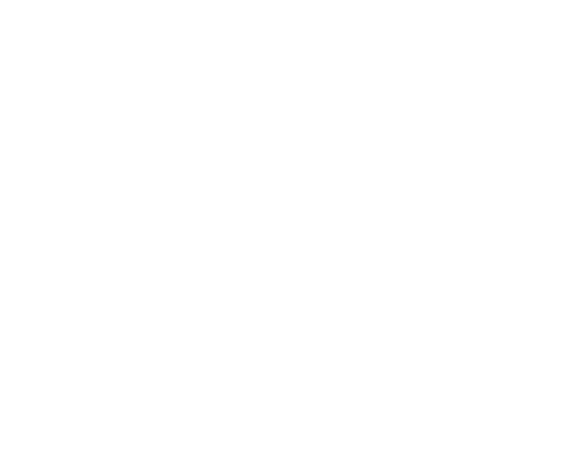 Stevig-Amsterdam